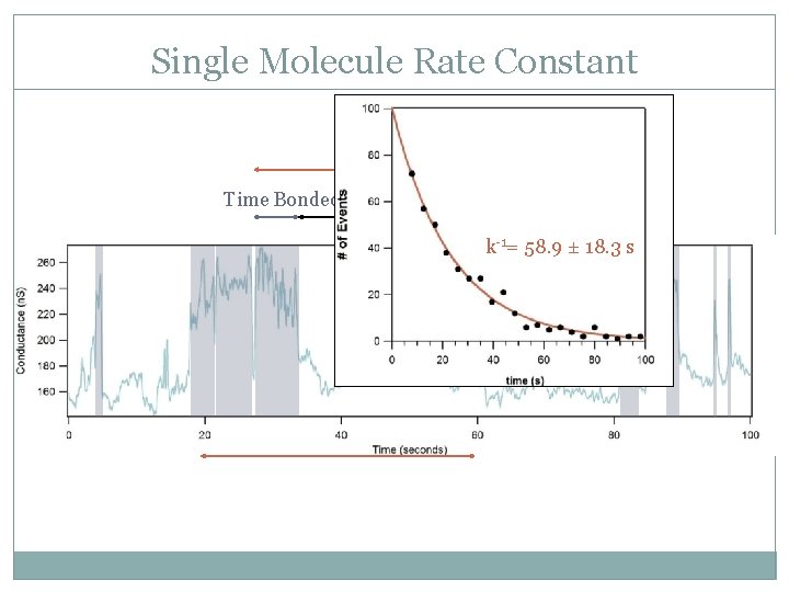 Single Molecule Rate Constant Turnover Time Bonded Waiting Time k-1= 58. 9 ± 18.