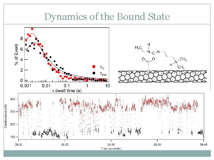 Dynamics of the Bound State 