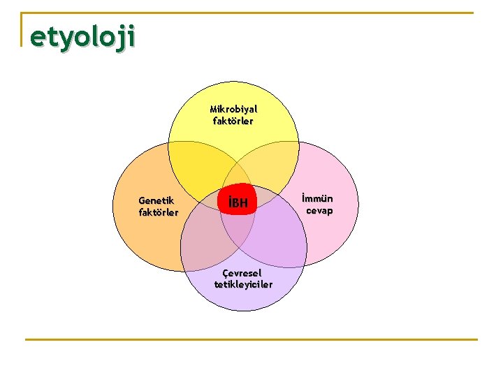 etyoloji Mikrobiyal faktörler Genetik faktörler İBH Çevresel tetikleyiciler İmmün cevap 