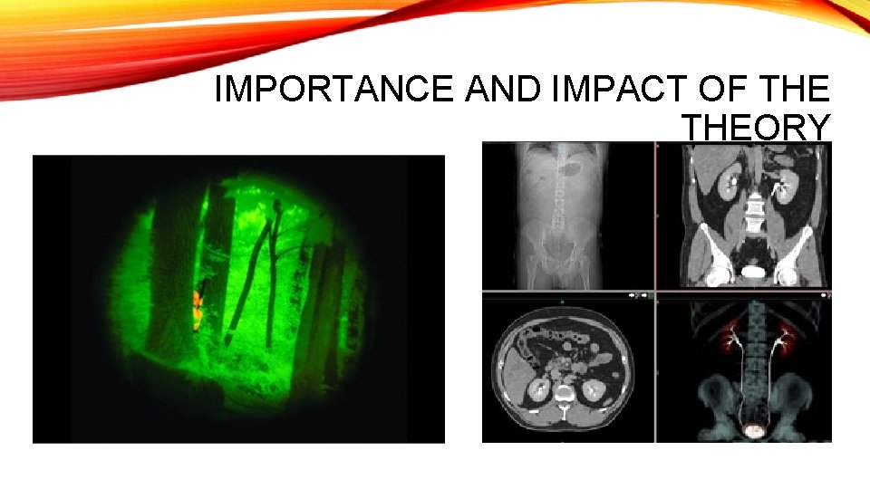 IMPORTANCE AND IMPACT OF THEORY 