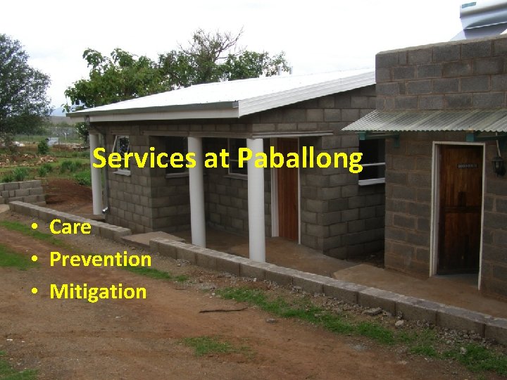 Services at Paballong • Care • Prevention • Mitigation 