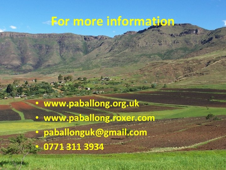 For more information • • www. paballong. org. uk www. paballong. roxer. com paballonguk@gmail.