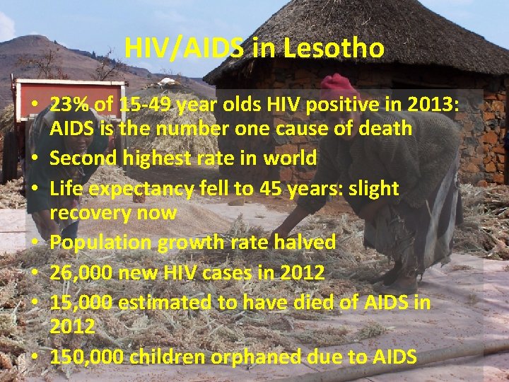 HIV/AIDS in Lesotho • 23% of 15 -49 year olds HIV positive in 2013:
