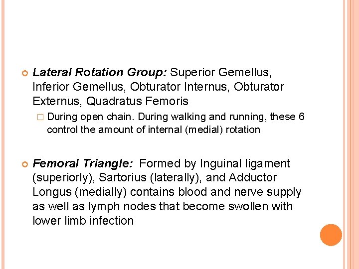  Lateral Rotation Group: Superior Gemellus, Inferior Gemellus, Obturator Internus, Obturator Externus, Quadratus Femoris