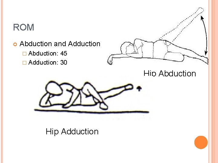 ROM Abduction and Adduction � Abduction: 45 � Adduction: 30 Hip Abduction Hip Adduction