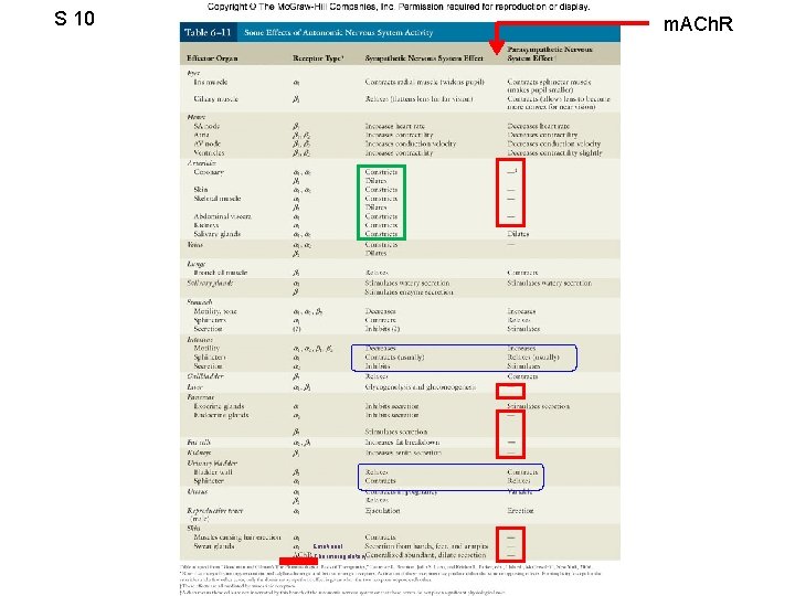 S 10 m. ACh. R Table 6. 11 Emotional Thermoregulatory 