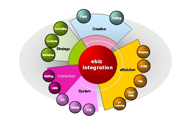 Flash Coding Creative Consulting Contents Strategy Sopping Marketing ebiz Integration Mailing e. CRM e.