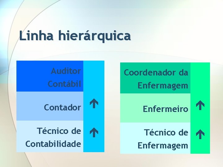 Linha hierárquica Auditor Contábil Contador Técnico de Contabilidade Coordenador da Enfermagem Enfermeiro Técnico de