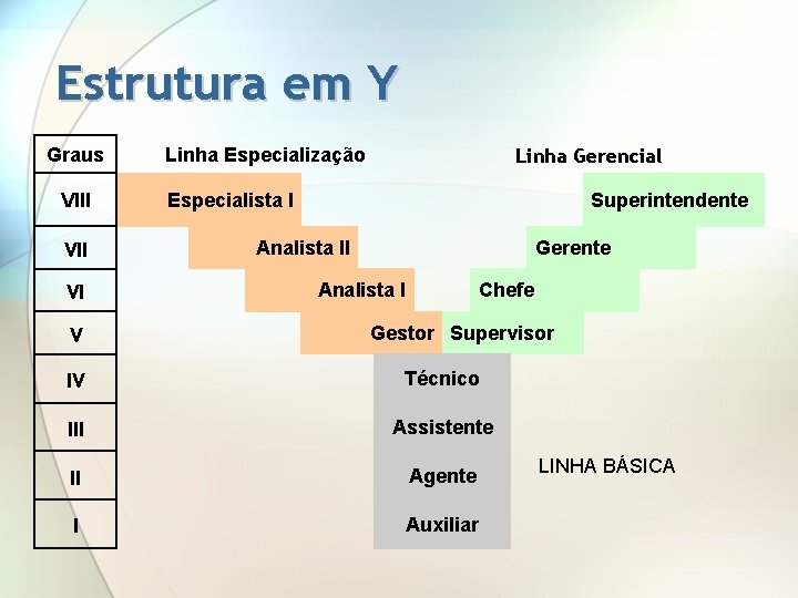 Estrutura em Y Graus VIII VI V Linha Especialização Linha Gerencial Especialista I Superintendente