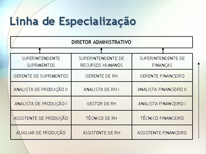 Linha de Especialização DIRETOR ADMINISTRATIVO SUPERINTENDENTE DE SUPRIMENTOS RECURSOS HUMANOS FINANÇAS GERENTE DE SUPRIMENTOS