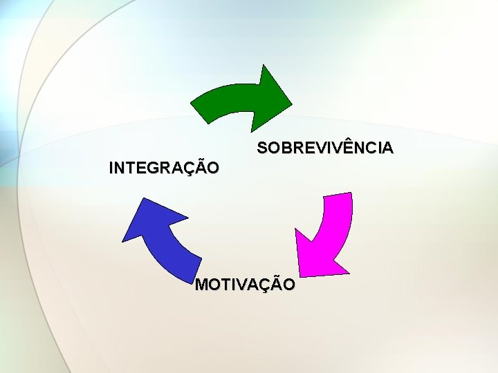 SOBREVIVÊNCIA INTEGRAÇÃO MOTIVAÇÃO 
