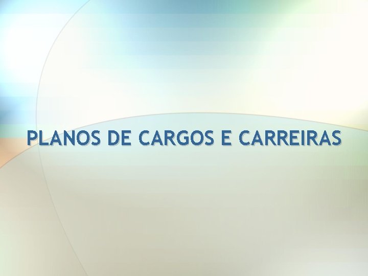 PLANOS DE CARGOS E CARREIRAS 