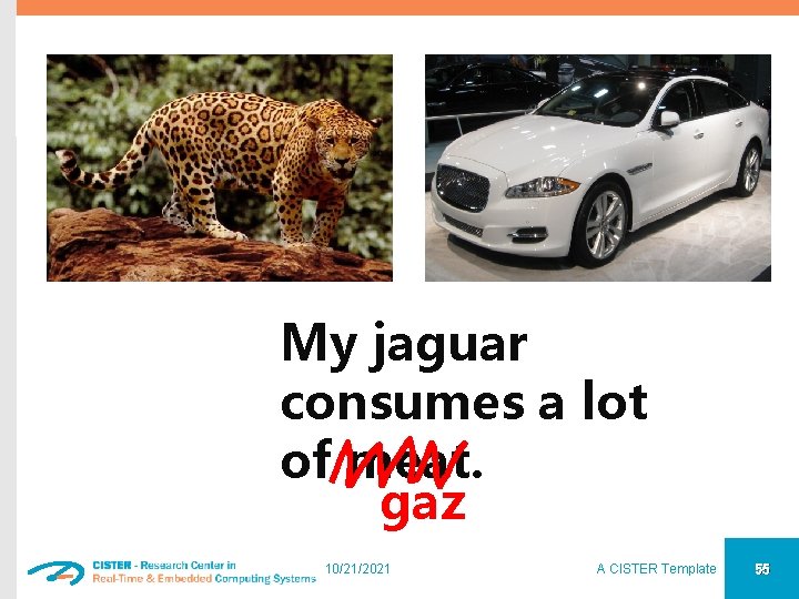 My jaguar consumes a lot of meat. gaz 10/21/2021 A CISTER Template 55 