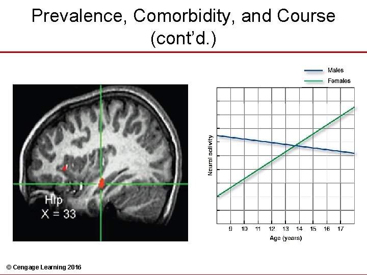 Prevalence, Comorbidity, and Course (cont’d. ) © Cengage Learning 2016 