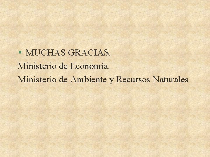 § MUCHAS GRACIAS. Ministerio de Economía. Ministerio de Ambiente y Recursos Naturales 