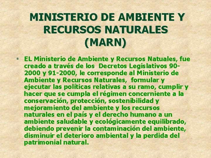 MINISTERIO DE AMBIENTE Y RECURSOS NATURALES (MARN) § EL Ministerio de Ambiente y Recursos