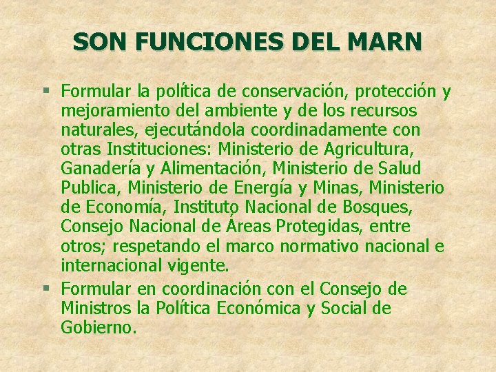 SON FUNCIONES DEL MARN § Formular la política de conservación, protección y mejoramiento del