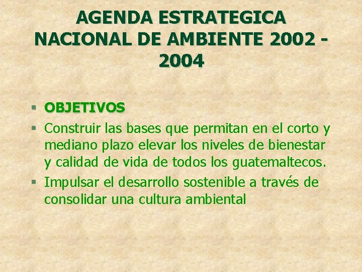 AGENDA ESTRATEGICA NACIONAL DE AMBIENTE 2002 2004 § OBJETIVOS § Construir las bases que