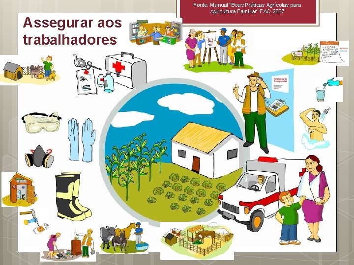 Fonte: Manual “Boas Práticas Agrícolas para Agricultura Familiar” FAO 2007 Assegurar aos trabalhadores 