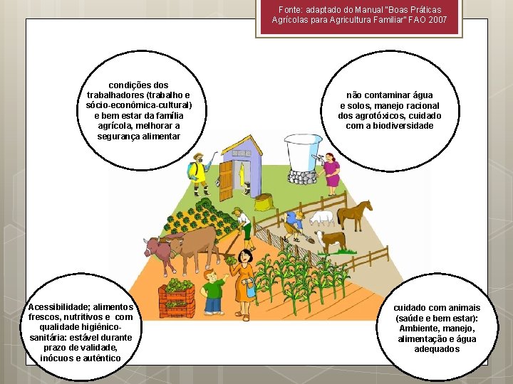 Fonte: adaptado do Manual “Boas Práticas Agrícolas para Agricultura Familiar” FAO 2007 condições dos