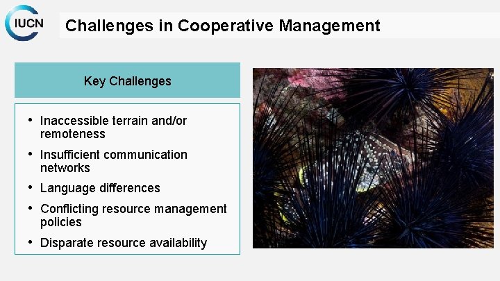 Challenges in Cooperative Management Key Challenges • Inaccessible terrain and/or remoteness • Insufficient communication