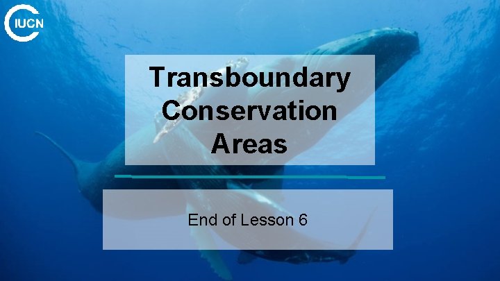 Transboundary Conservation Areas End of Lesson 6 