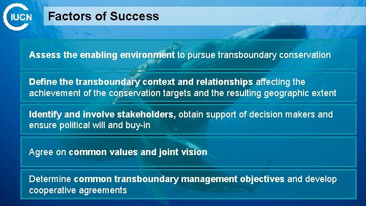 Factors of Success Assess the enabling environment to pursue transboundary conservation Define the transboundary