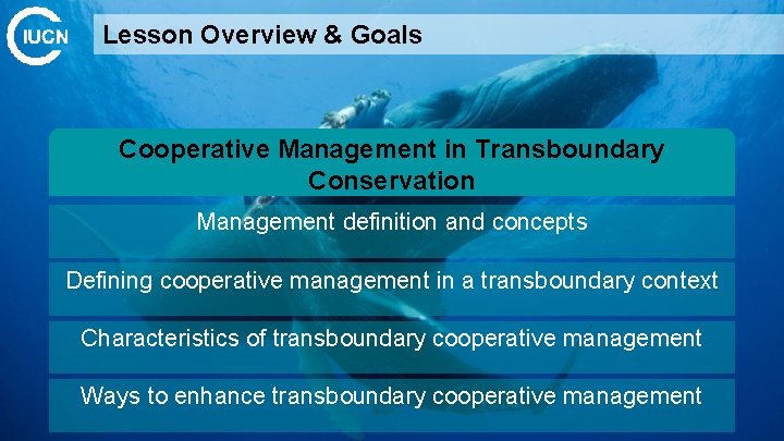 Lesson Overview & Goals Cooperative Management in Transboundary Conservation Management definition and concepts Defining
