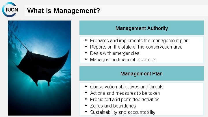 What is Management? Management Authority • • Prepares and implements the management plan Reports