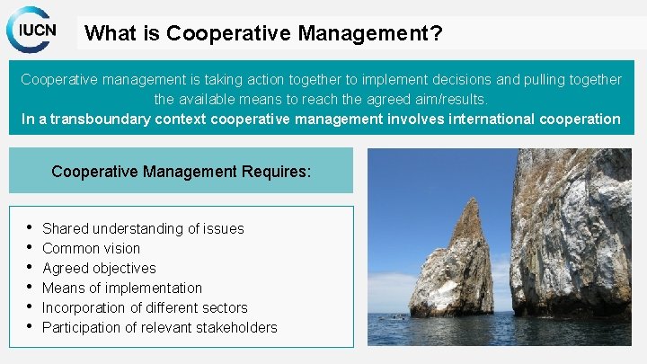 What is Cooperative Management? Cooperative management is taking action together to implement decisions and