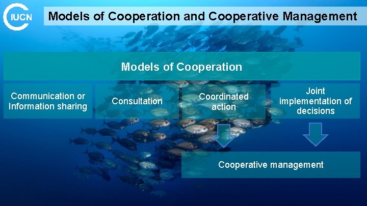 Models of Cooperation and Cooperative Management Models of Cooperation Communication or Information sharing Consultation