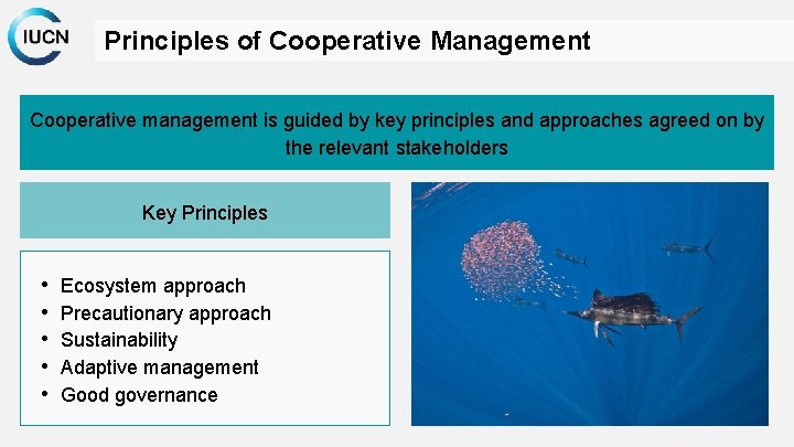 Principles of Cooperative Management Cooperative management is guided by key principles and approaches agreed