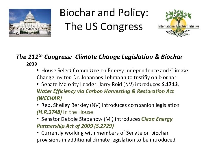Biochar and Policy: The US Congress The 111 th Congress: Climate Change Legislation &