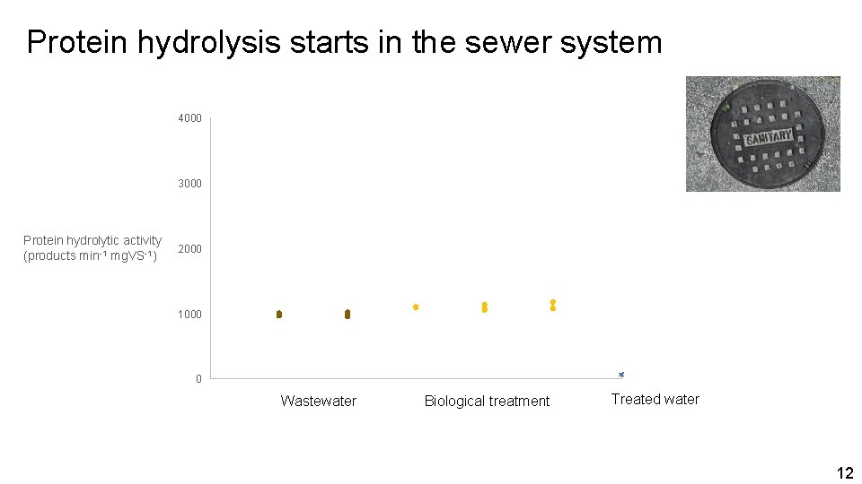 Protein hydrolysis starts in the sewer system 4000 3000 Protein hydrolytic activity (products min-1