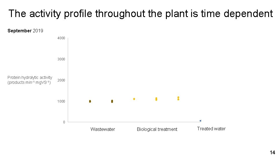 The activity profile throughout the plant is time dependent September 2019 4000 3000 Protein