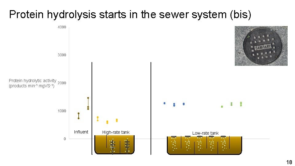 Protein hydrolysis starts in the sewer system (bis) Protein hydrolytic activity (products min-1 mg.