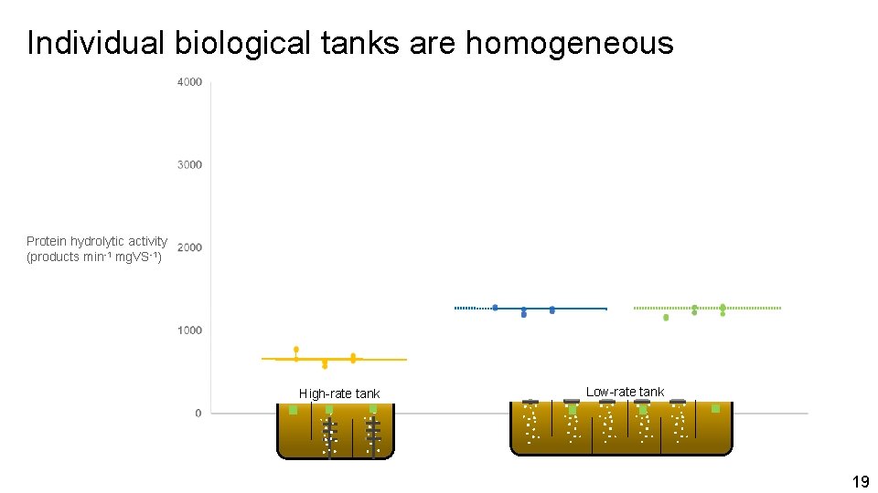 Individual biological tanks are homogeneous Protein hydrolytic activity (products min-1 mg. VS-1) High-rate tank