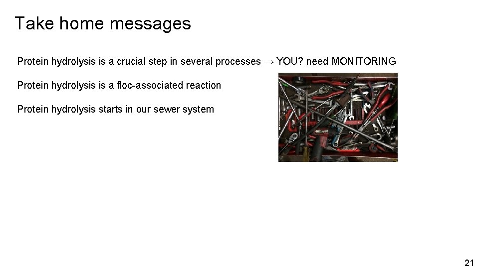 Take home messages Protein hydrolysis is a crucial step in several processes → YOU?
