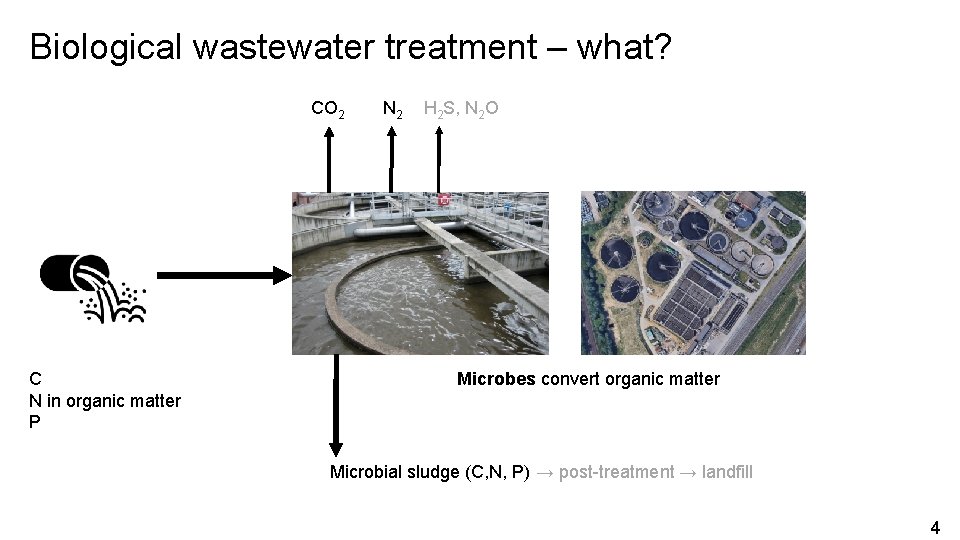 Biological wastewater treatment – what? CO 2 C N in organic matter P N