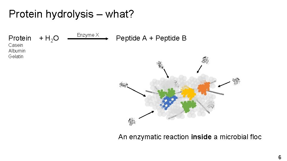 Improved protein hydrolysis monitoring for biological wastewater treatment