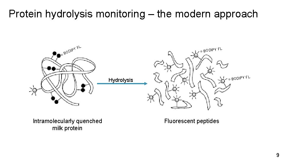 Protein hydrolysis monitoring – the modern approach = BO Y DIP FL Y FL