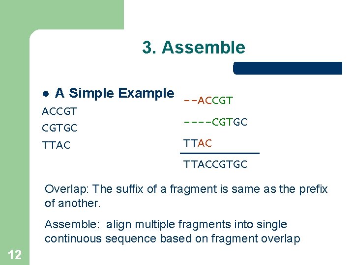 3. Assemble l A Simple Example --ACCGT CGTGC TTAC ----CGTGC TTACCGTGC Overlap: The suffix 3. Assemble l A Simple Example --ACCGT CGTGC TTAC ----CGTGC TTACCGTGC Overlap: The suffix