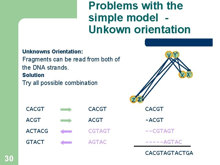 Problems with the simple model Unkown orientation Unknowns Orientation: y Y’ Fragments can be Problems with the simple model Unkown orientation Unknowns Orientation: y Y’ Fragments can be