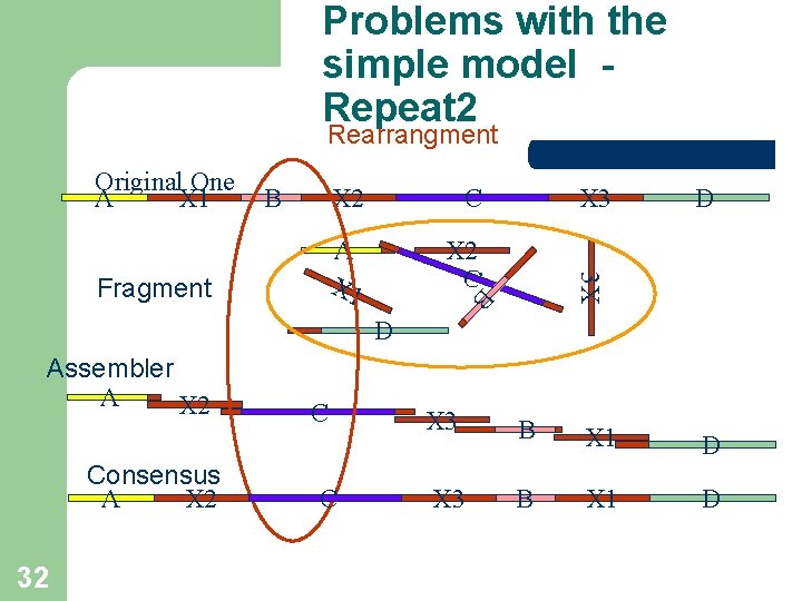 Problems with the simple model Repeat 2 Rearrangment Original One A X 1 B Problems with the simple model Repeat 2 Rearrangment Original One A X 1 B