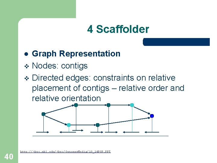 4 Scaffolder Graph Representation v Nodes: contigs v Directed edges: constraints on relative placement 4 Scaffolder Graph Representation v Nodes: contigs v Directed edges: constraints on relative placement
