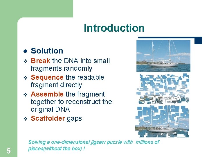 Introduction l Solution v Break the DNA into small fragments randomly Sequence the readable Introduction l Solution v Break the DNA into small fragments randomly Sequence the readable