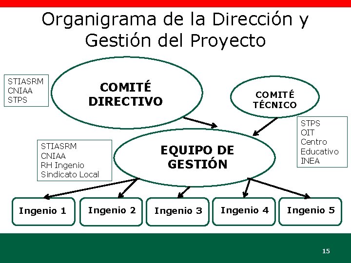 Organigrama de la Dirección y Gestión del Proyecto STIASRM CNIAA STPS COMITÉ DIRECTIVO STIASRM