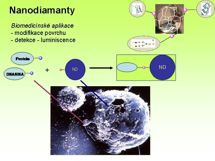 Nanodiamanty Biomedicínské aplikace - modifikace povrchu - detekce - luminiscence + 