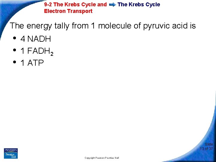 9 -2 The Krebs Cycle and Electron Transport The Krebs Cycle The energy tally