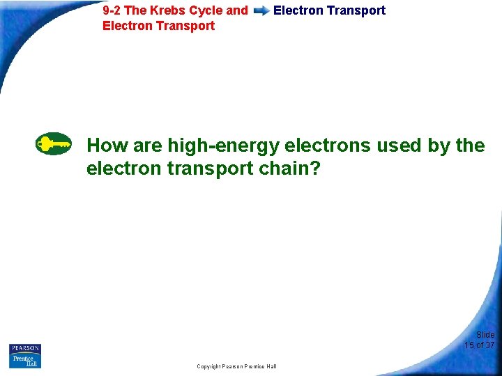 9 -2 The Krebs Cycle and Electron Transport How are high-energy electrons used by